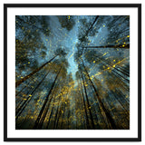 Enchanted Night Forest with Glowing Fireflies thumbnail