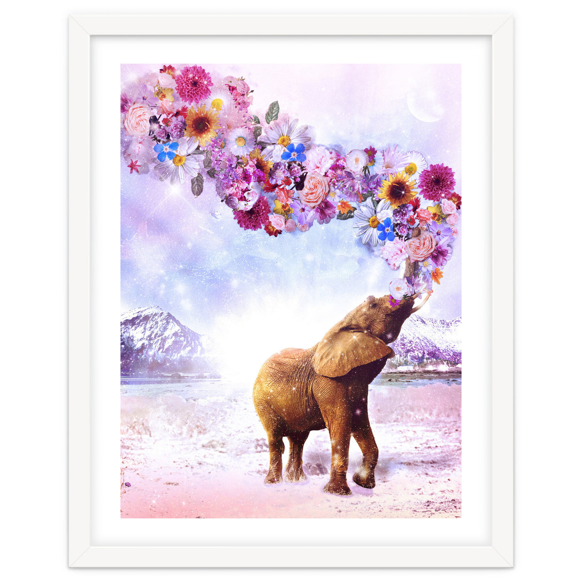 Daria - Supreme Majestic