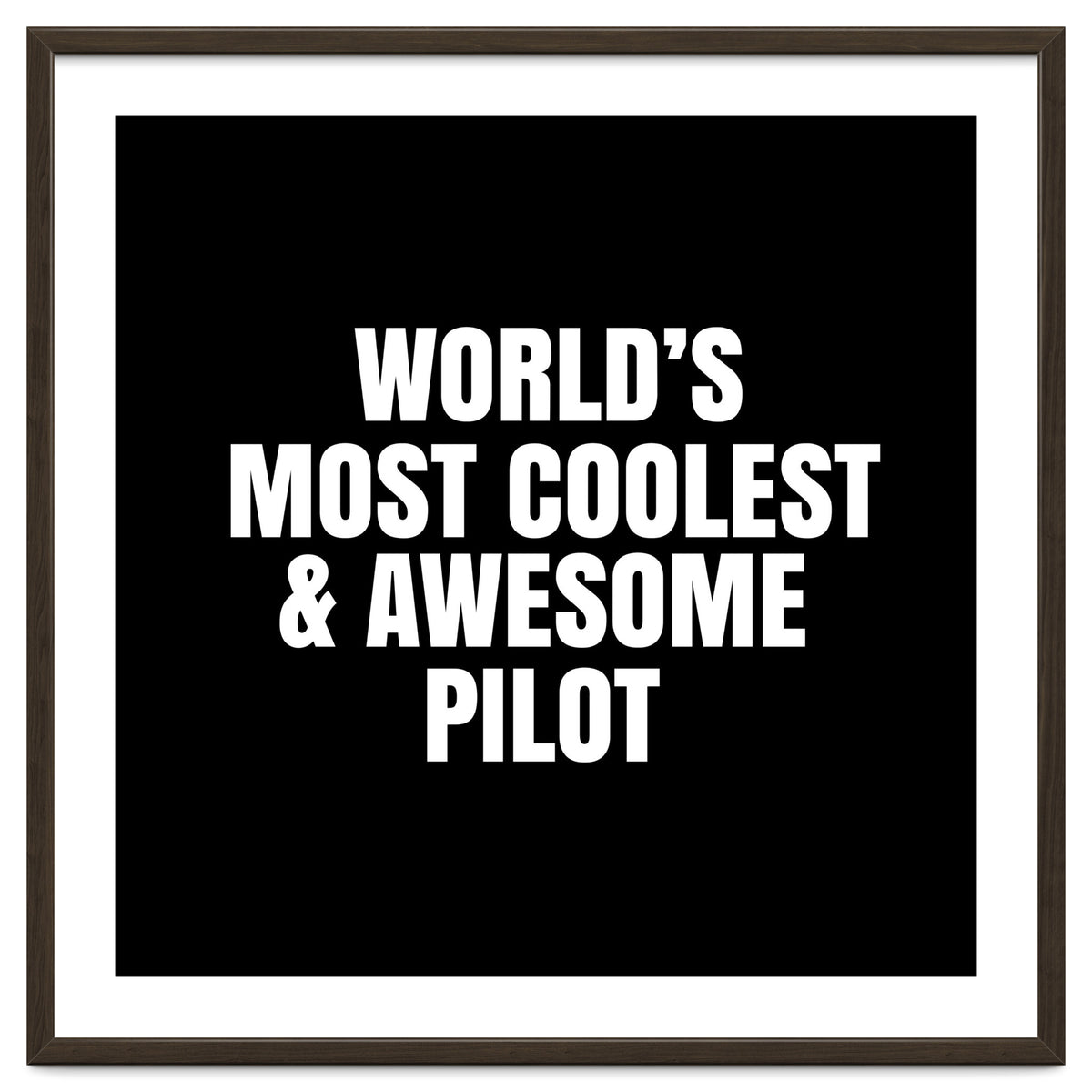 World's most coolest and awesome pilot