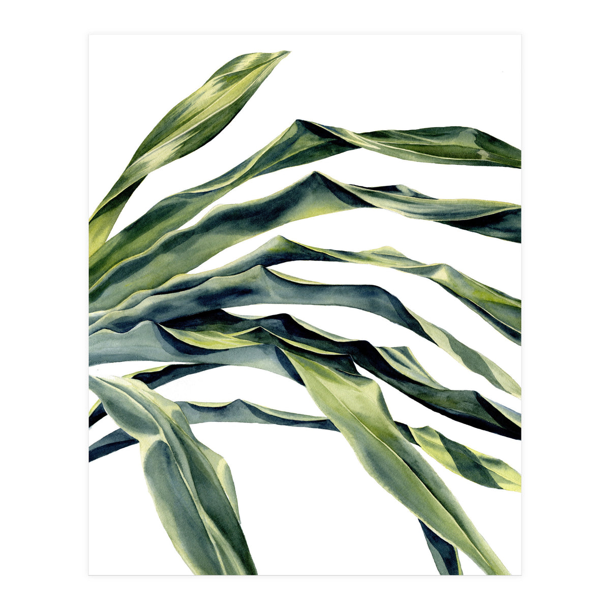 Green Palm Leaves (Print Only)