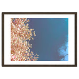 Leaves And Sky thumbnail
