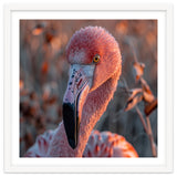 Close Up Of A Pink Flamingo Head In Sunlight thumbnail