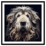 Old Dog 010 thumbnail