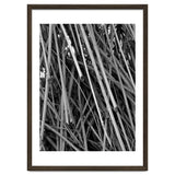 Black Tectorius Plant Shoots Art thumbnail
