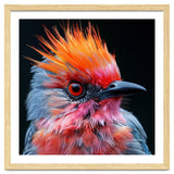 Close Up Of Exotic Bird With Vibrant Plumage thumbnail