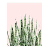 Botanical Balance (Print Only) thumbnail