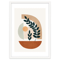 Soft Shapes III
