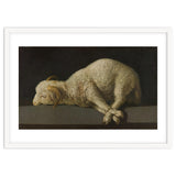 Francisco de Zurbarán / 'Agnus Dei (The Lamb of God)', 1635-1640, Spanish School. thumbnail