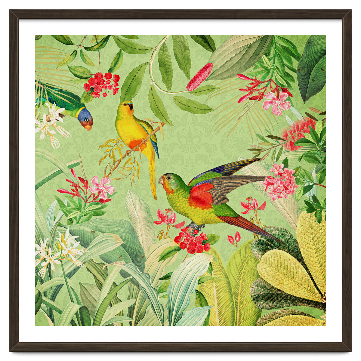 Summer Day Vintage Tropical Jungle