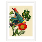 Birds Life thumbnail