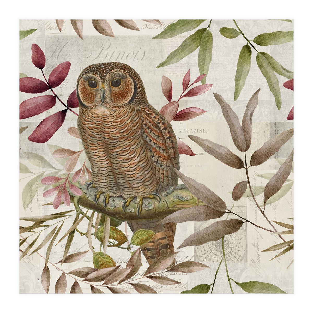 Autumn Owl (Print Only)