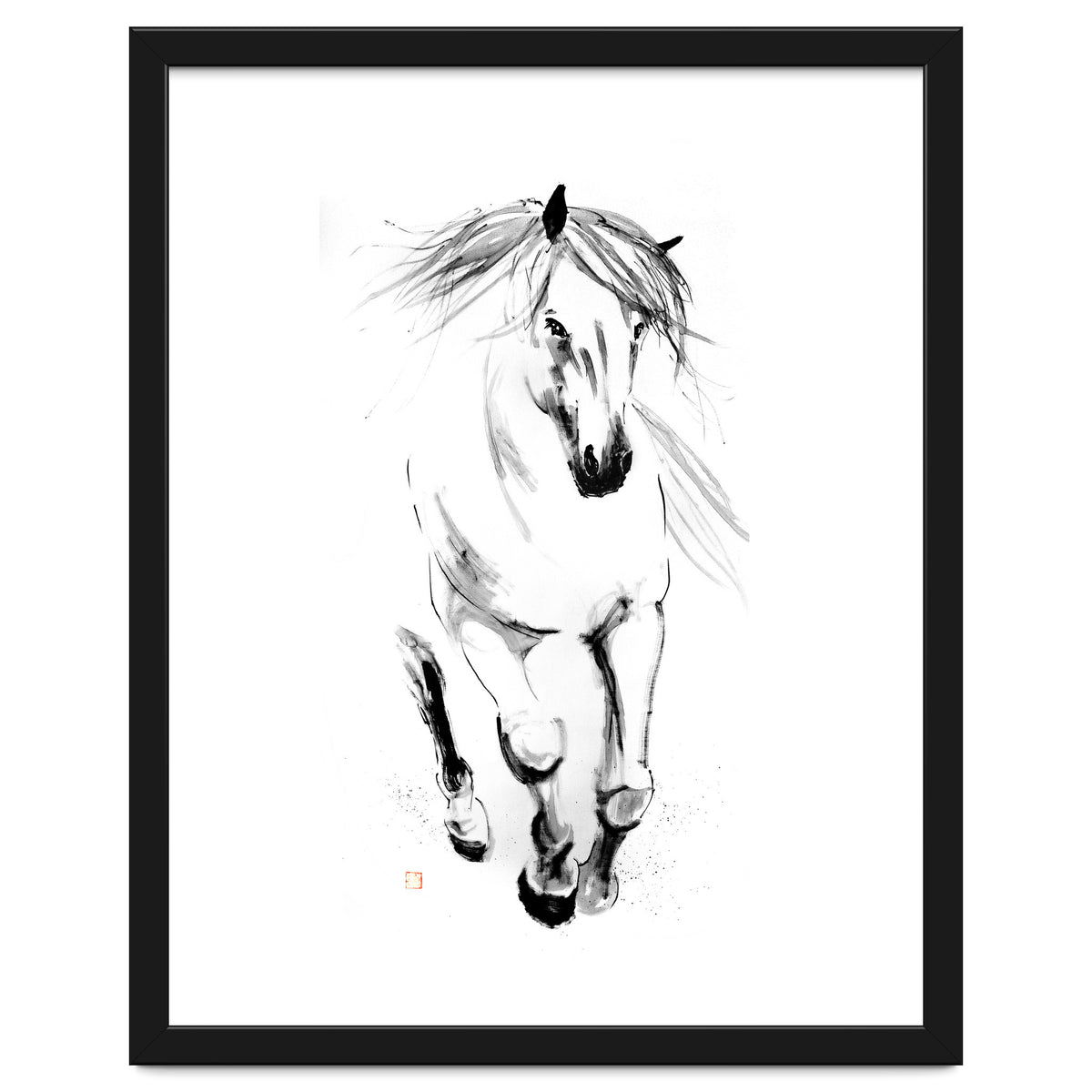 Runninh Ghorse In Water