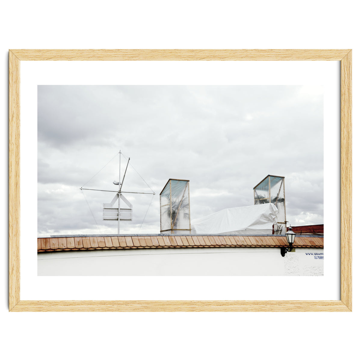 Palm tree waiting for summer