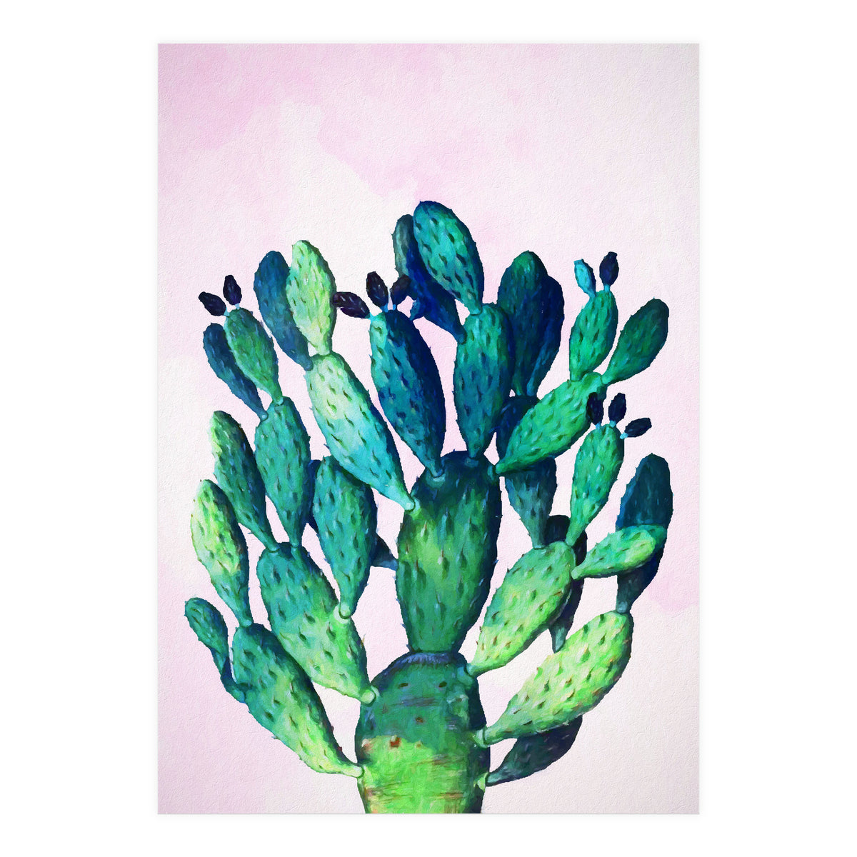 Cactus Three Ways (Print Only)