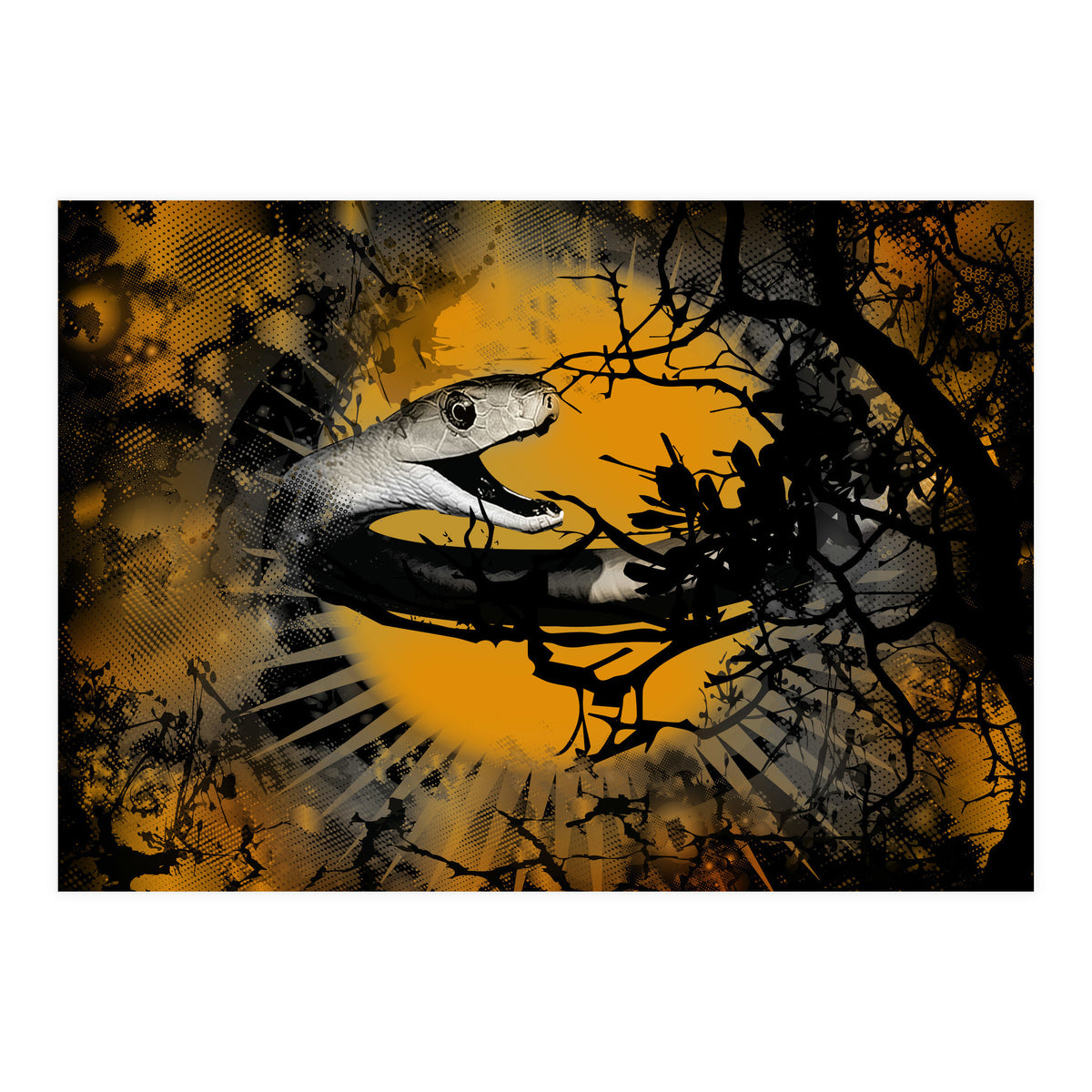 Black Mamba  (Print Only)