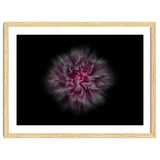 Backyard Flowers No 116 Color Flow Version thumbnail
