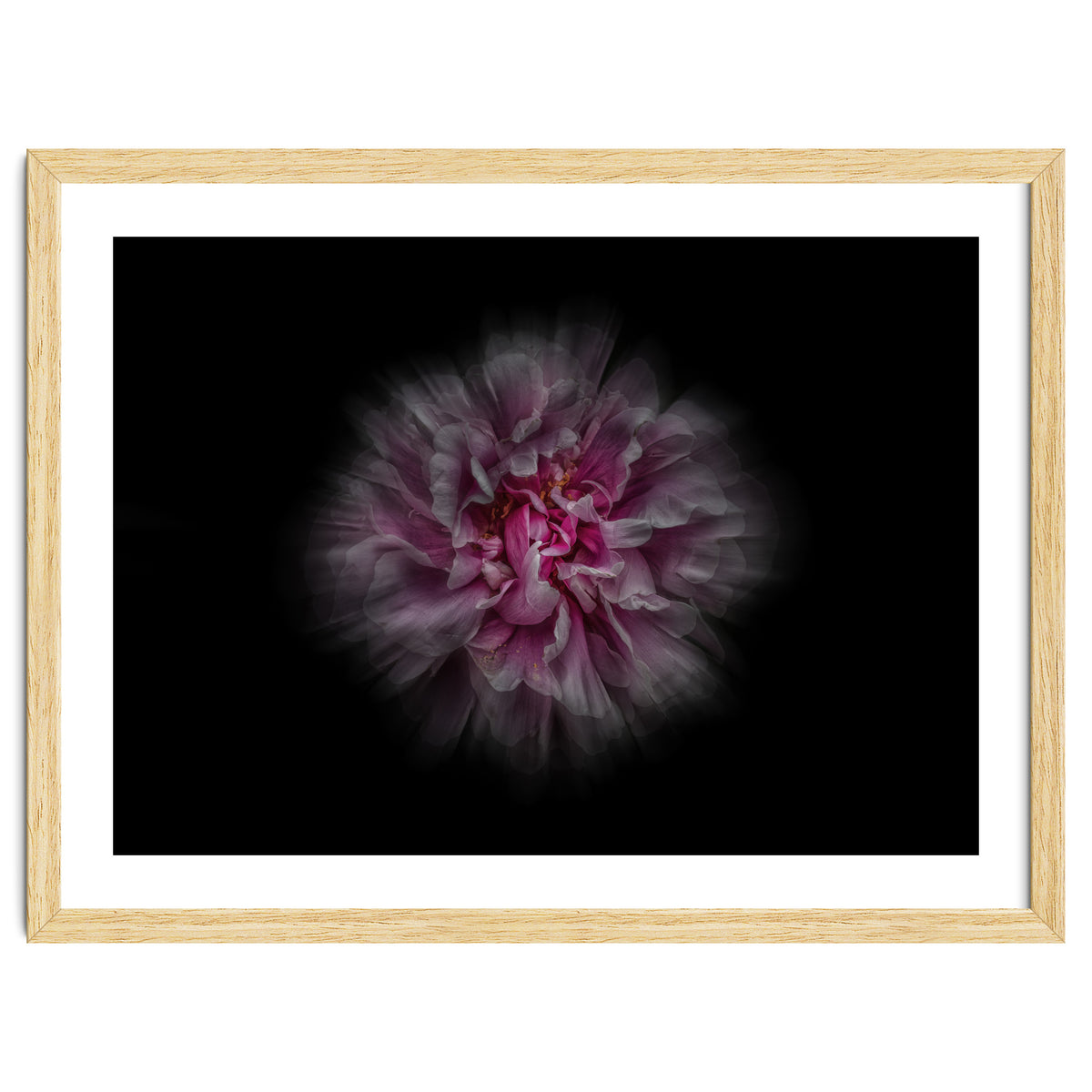 Backyard Flowers No 116 Color Flow Version