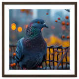 Pigeon With Water Droplets thumbnail