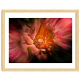 Backyard Flowers No 40 Color Flow Version thumbnail