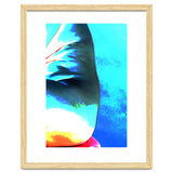Aqua Fire |  Sea Wall thumbnail