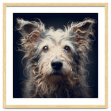 Old Dog 07 thumbnail