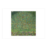 Apple Tree I, 1911 or 1912. Estates of Ferdinand and Adele Bloch-Bauer. (Print Only) thumbnail