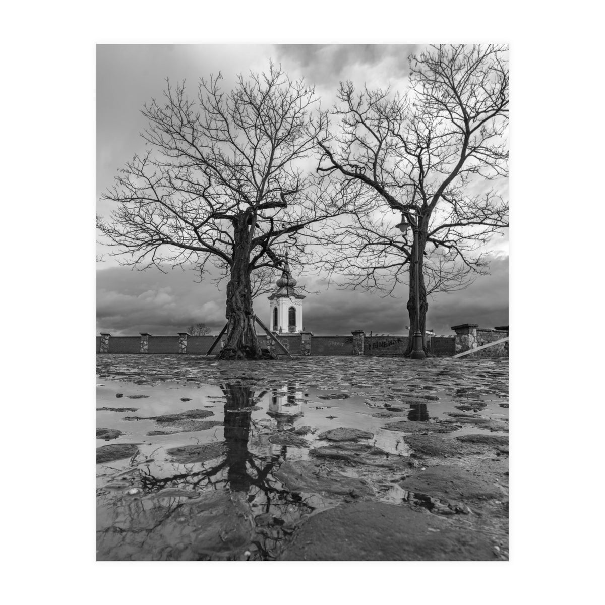 Churches and trees (Print Only)