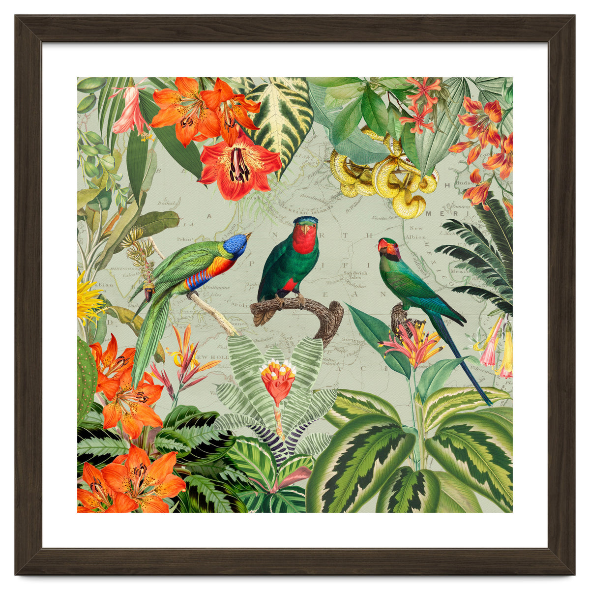Exotic Parrots Jungle Landscape