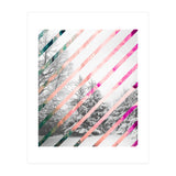 Snow Angel (Print Only) thumbnail