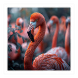 Beautiful Close Up Of A Pink Flamingo Bird (Print Only) thumbnail