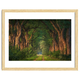 Soft morning light thumbnail