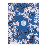 Moon Branches (Print Only) thumbnail