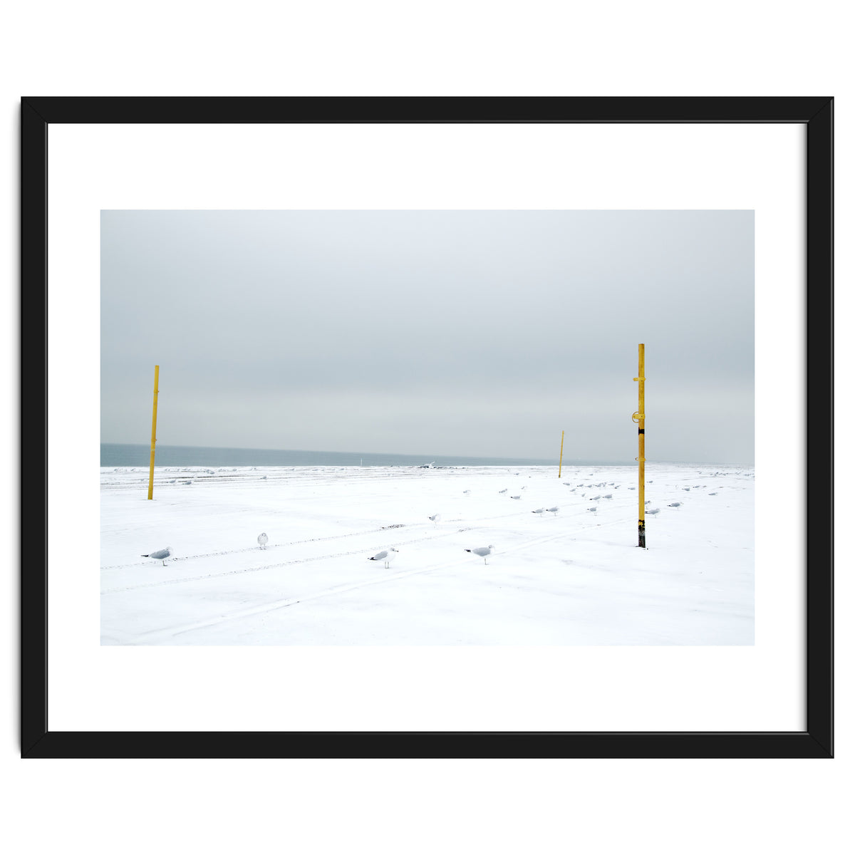 Seagulls in between the volleyball poles in winter snow beach