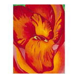 Georgia O’Keeffe – Canna Red and Orange (1926) | Vibrant Modernist Floral Painting in Bold Organic Forms (Print Only) thumbnail