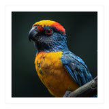 Close Up Colorful Parrot Perched On A Branch (Print Only) thumbnail