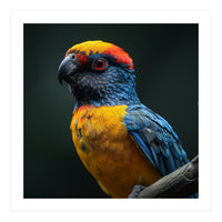 Close Up Colorful Parrot Perched On A Branch (Print Only)