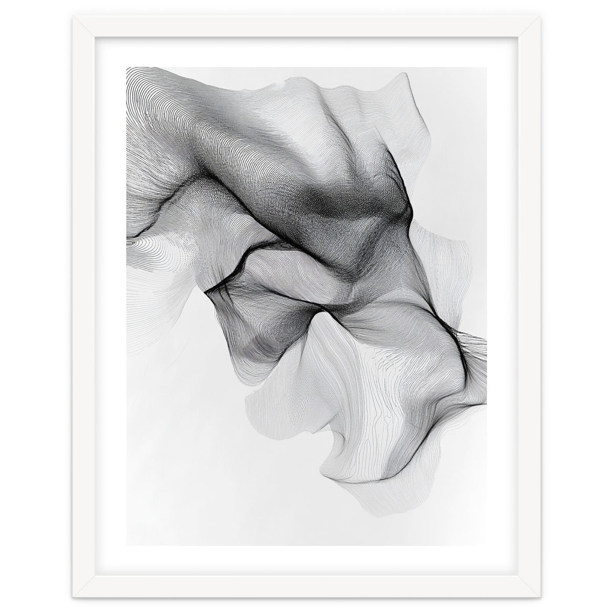 Abstract Black And White Flowing Lines Forming Organic Shapes And Forms