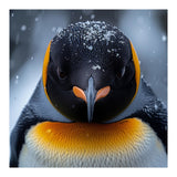 Close Up King Penguin In The Snow (Print Only) thumbnail