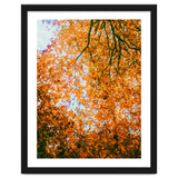 Autumn Leaves thumbnail