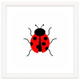 Lady Bug thumbnail