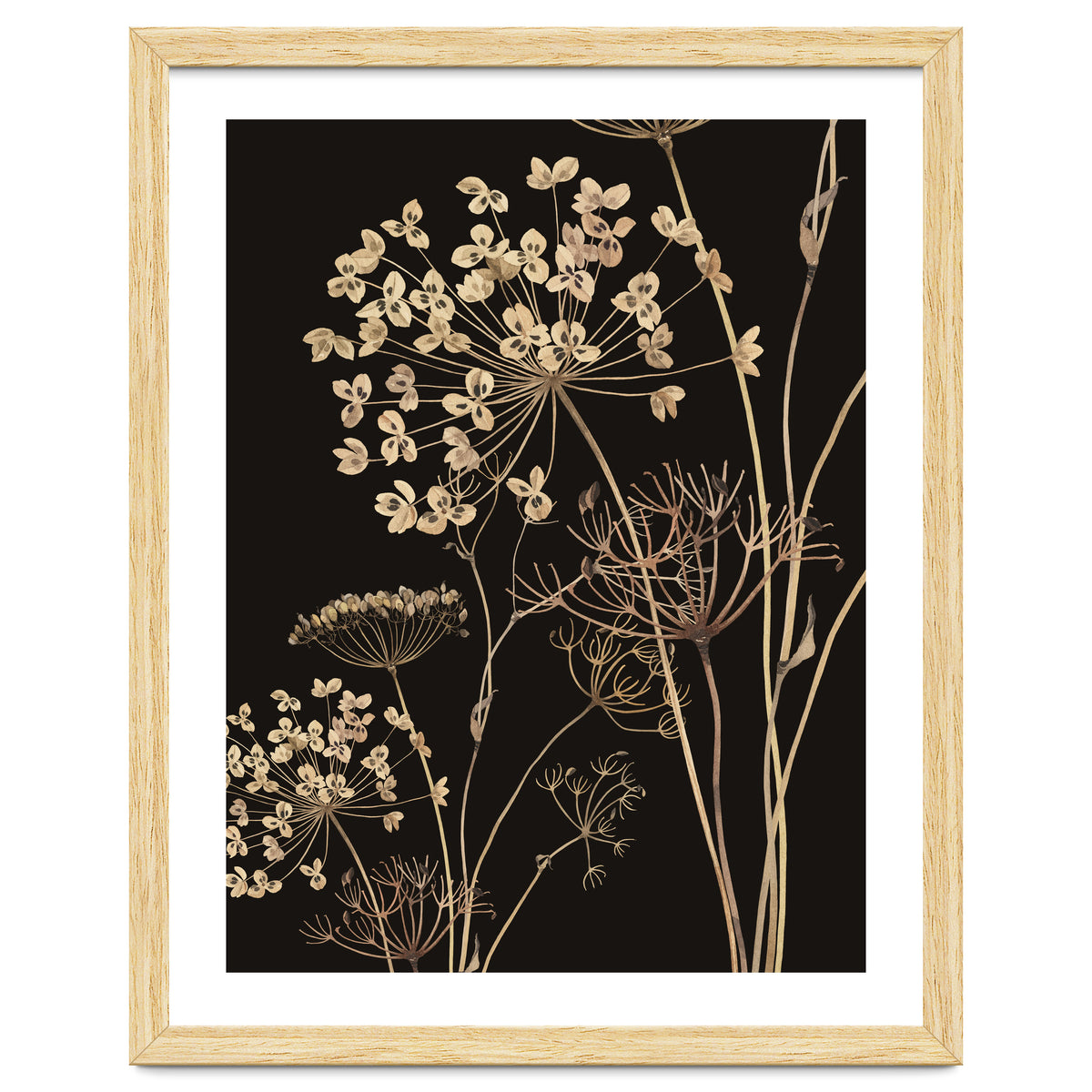 Wildflowers I