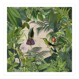 Tropical Hummingbird Jungle (Print Only) thumbnail