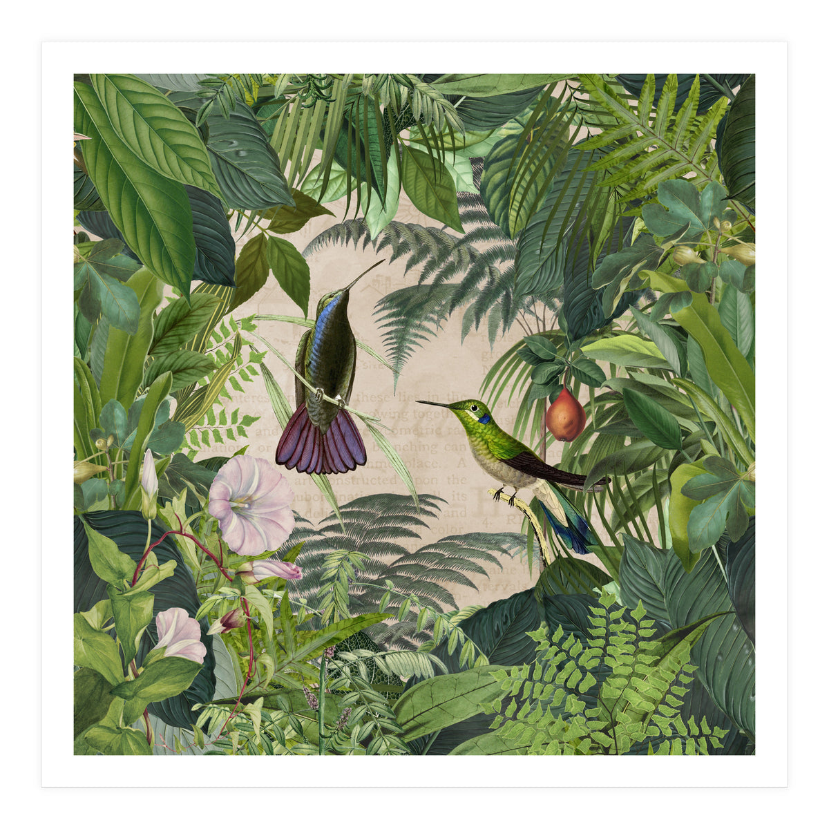 Tropical Hummingbird Jungle (Print Only)
