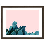 Kaktos thumbnail