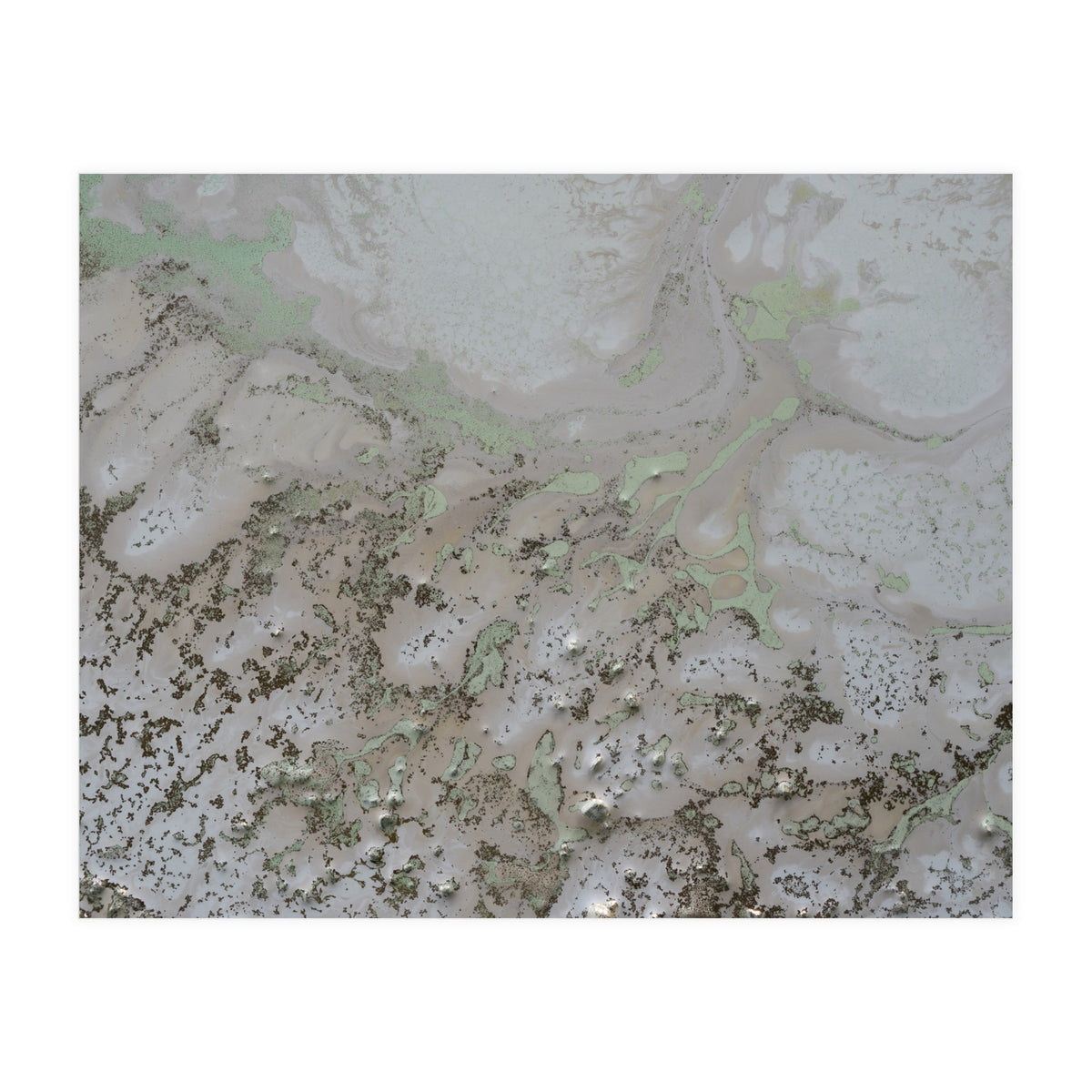 Life And Souls (Print Only)