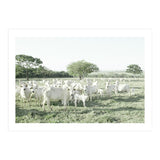 LIVING TOGETHER - WHITE COWS FAMILY (Print Only) thumbnail