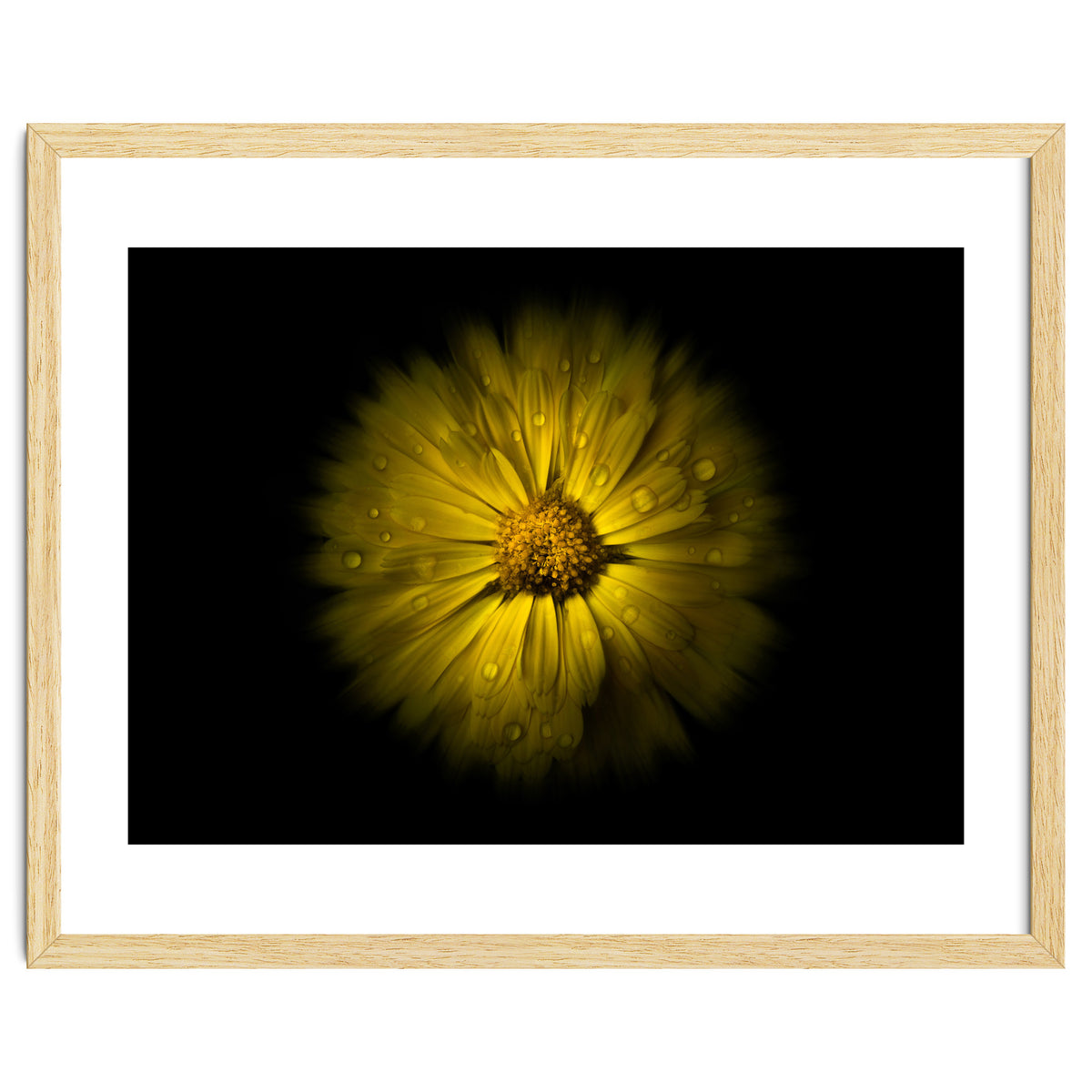 Backyard Flowers No 10 Color Flow Version