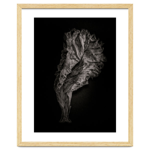 Leaves No 9