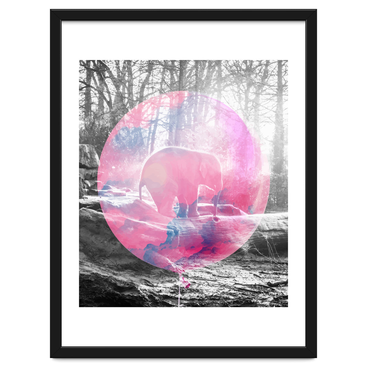 Baby Elephant In A Balloon