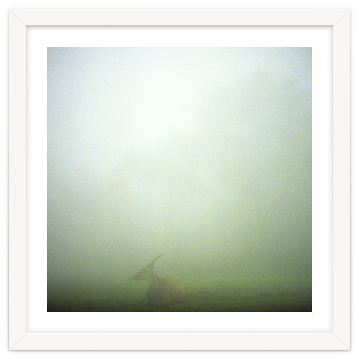 Silence of breath - 06